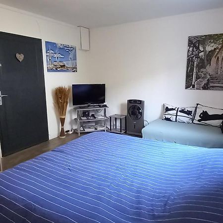 Appartement/Studio Dans Petite Residence Calme ラシオタ エクステリア 写真